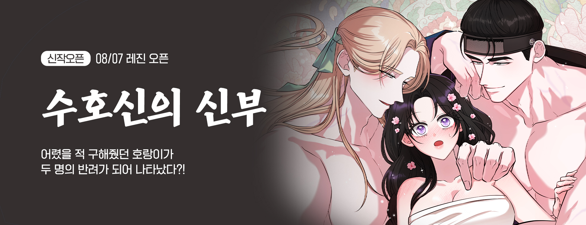비쥬얼 이미지