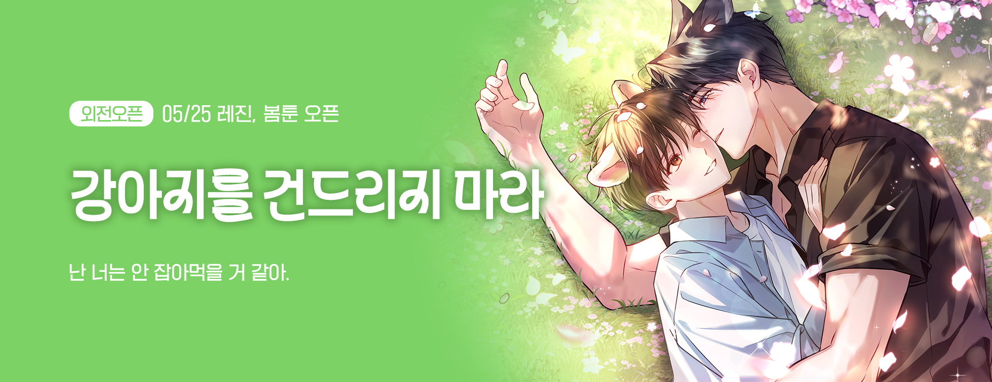 비쥬얼 이미지
