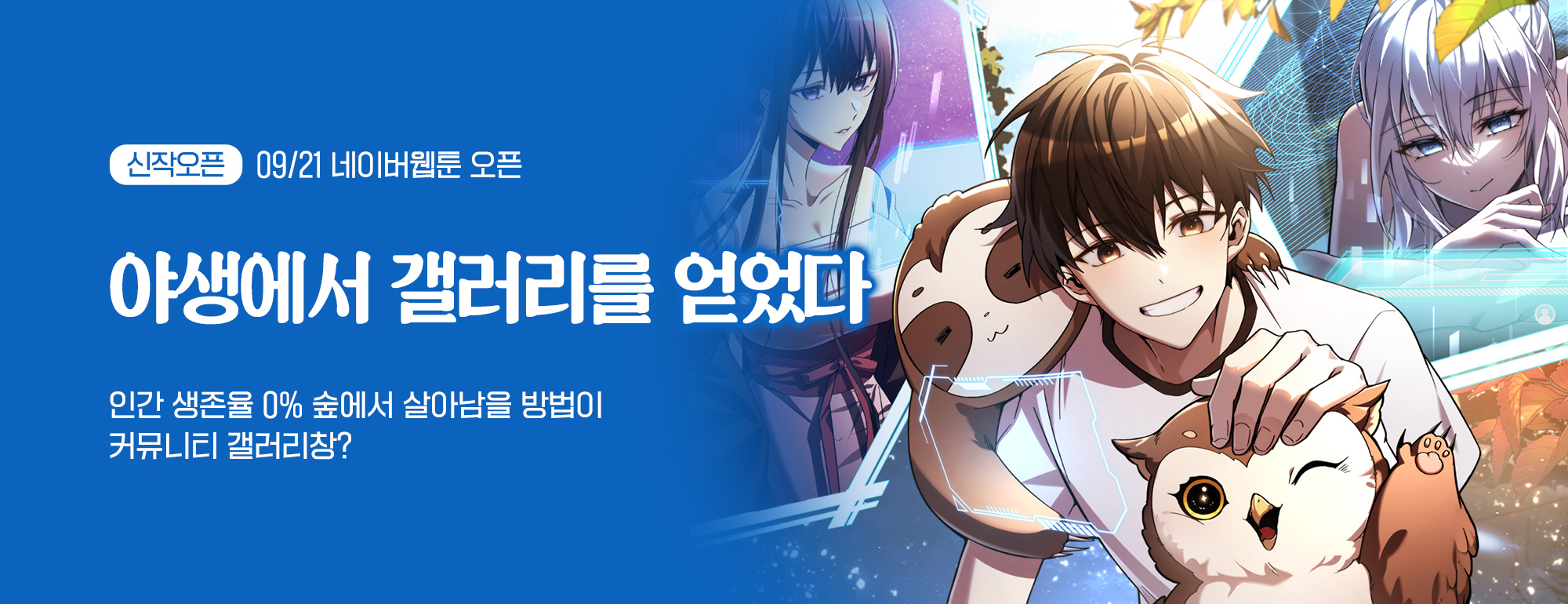 비쥬얼 이미지
