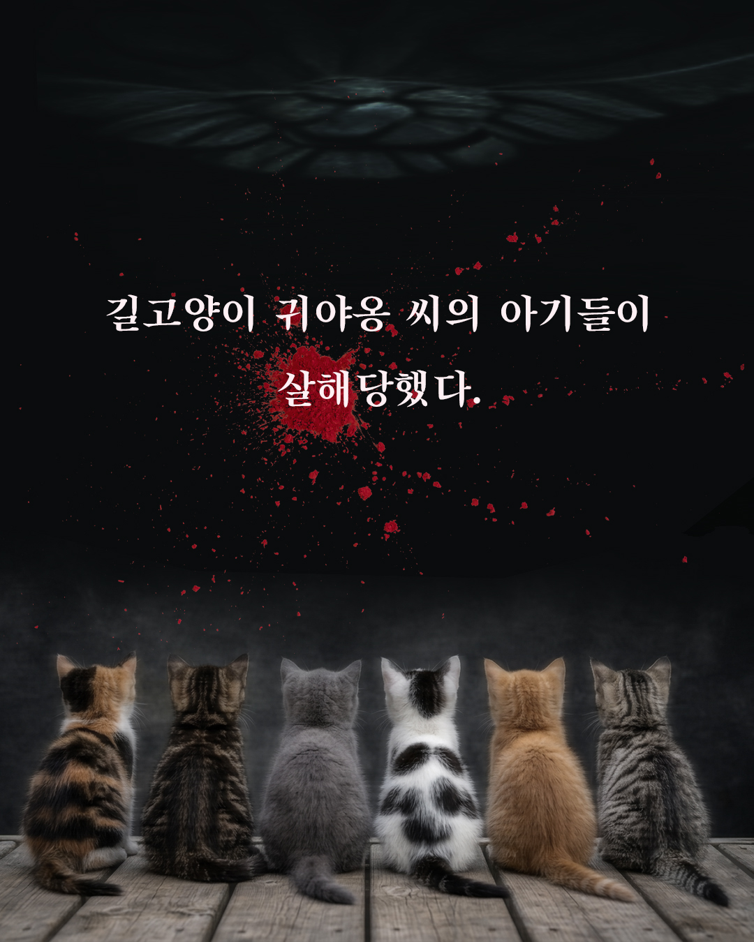 스틸컷