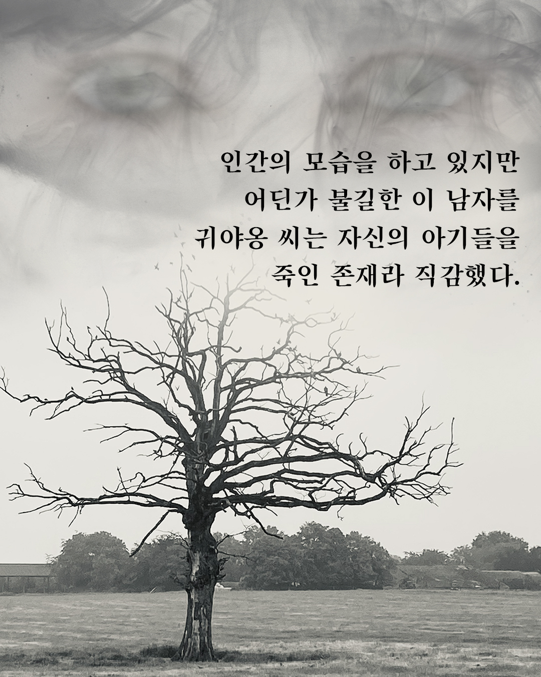 스틸컷